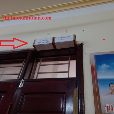 Diệt mối ăn khuôn cửa gỗ cho khách hàng tại Thái Bình Diệt mối ăn khuôn cửa gỗ cho khách hàng tại Thái Bình