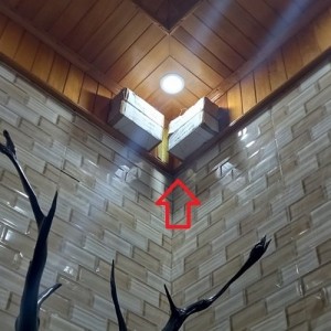 Dấu Hiệu Mối Ăn Trần Nhà