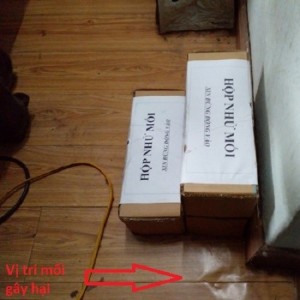 Diệt Mối Tại Xã Phúc Thịnh Uy Tín, Gía Rẻ