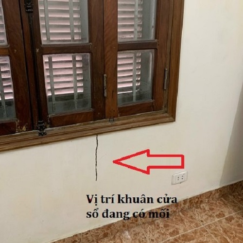 Mối đắp đường ống bùn ra từ cửa sổ gỗ 