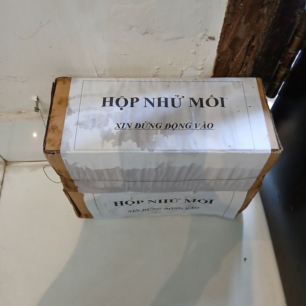 Dịch vụ diệt mối tại Hà Nội