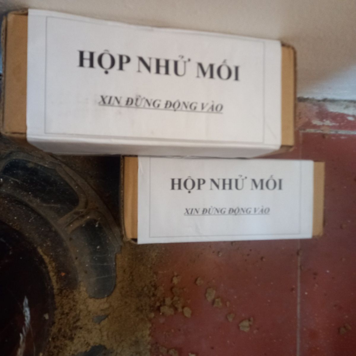 Dịch vụ diệt mối xông chân cột theo phương pháp lây truyền