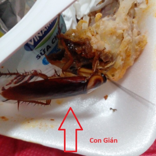 Bảng Gía Diệt Gián