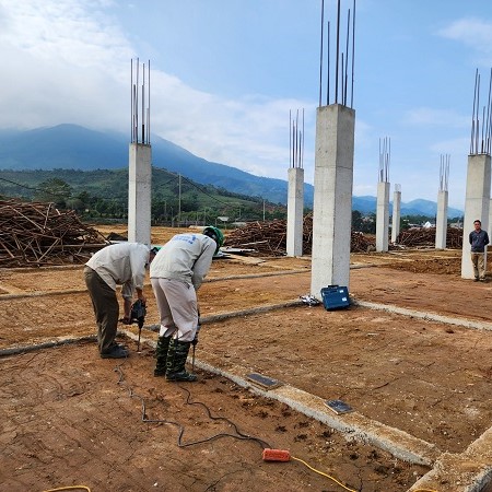 Khoan lỗ bơm thuốc phòng chống mối