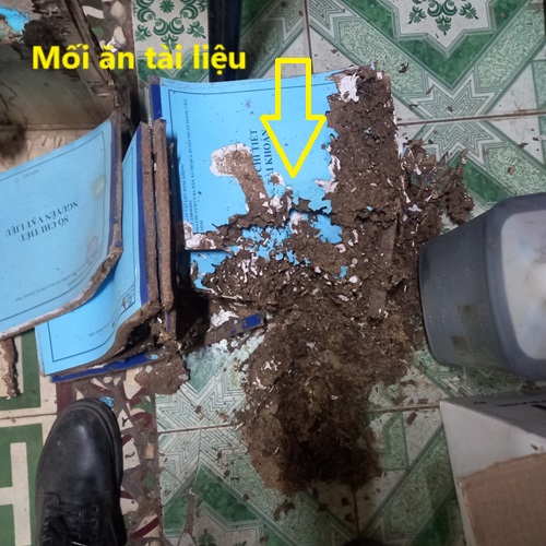 Diệt mối xông tài liệu