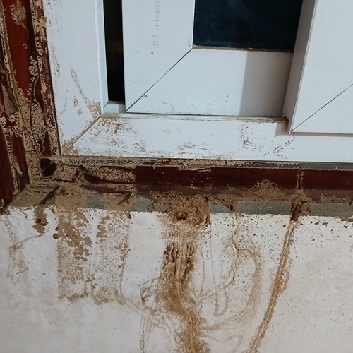 Diệt mối xông khuôn cửa tại quận Tây Hồ