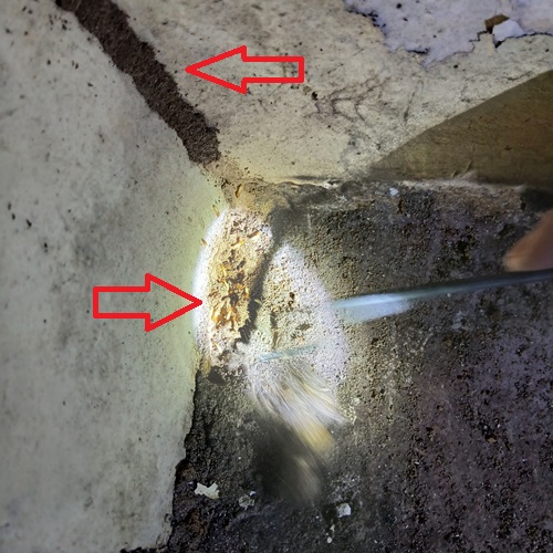 Bảo hành dài hạn