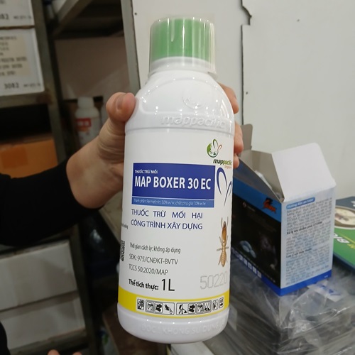 Cam kết của Anh Tuấn về thuốc diệt mối tại Hà Nội