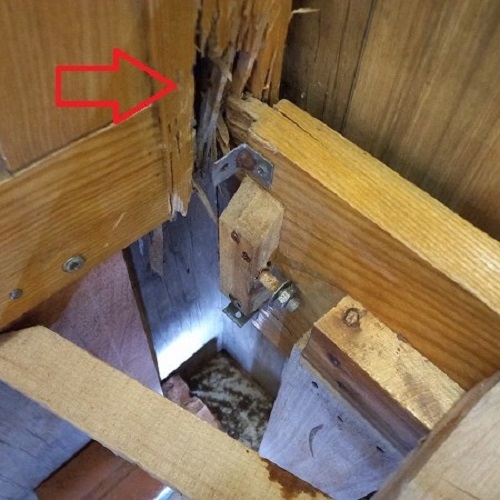 Diệt mối xông giường gỗ