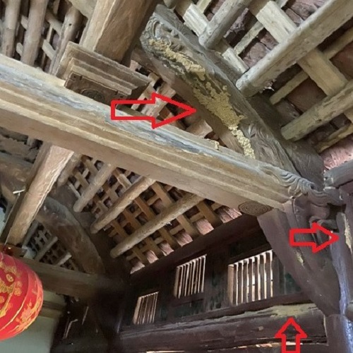 Xuất hiện có mối đắp đường mui trên trần nhà