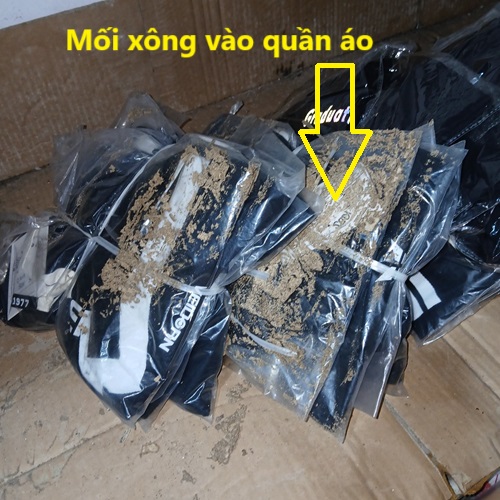 Dịch vụ diệt mối xông kho quần áo tại Đông Anh - Hà Nội