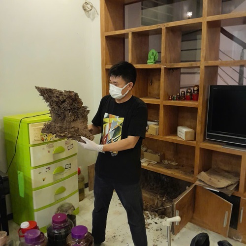 Diệt mối xông tủ rượu tại Cầu Giấy