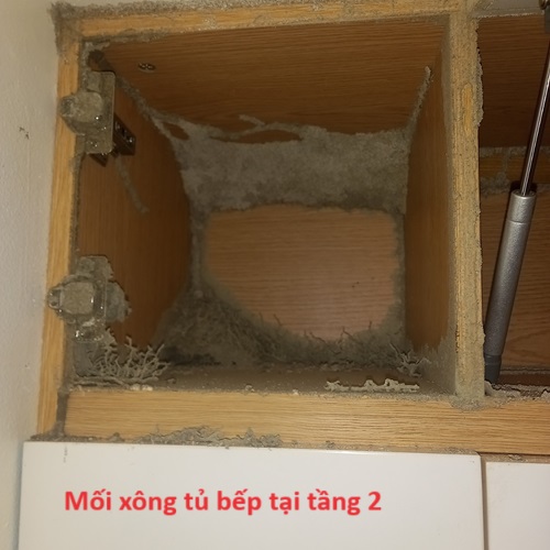 Diệt mối xông tủ bếp
