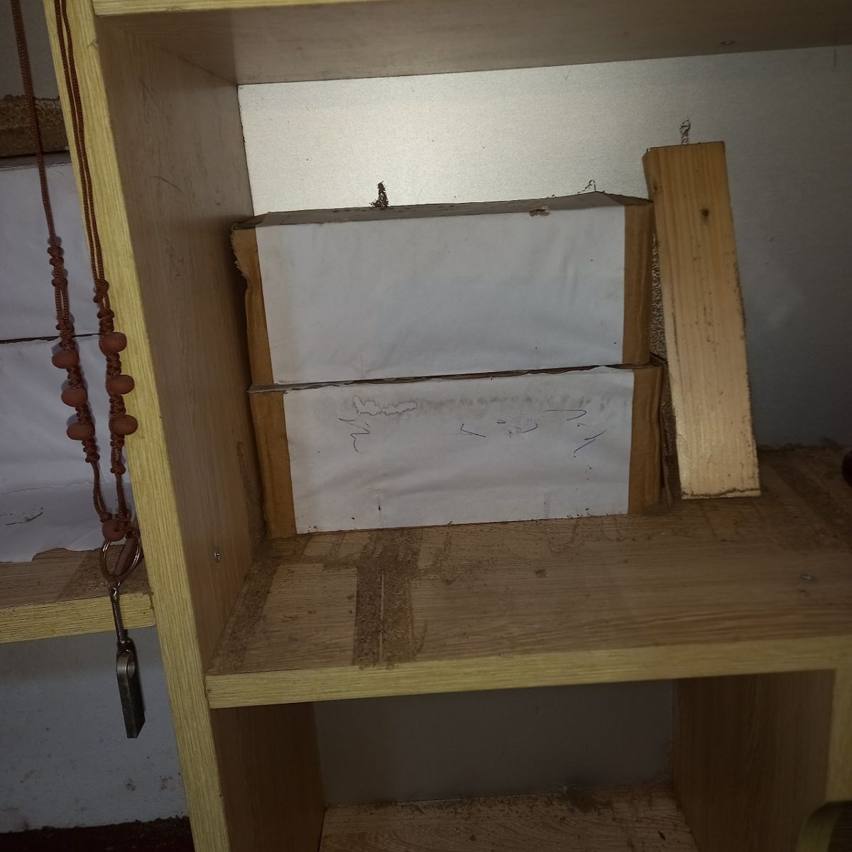 Đặt hộp nhử mối tủ gỗ 