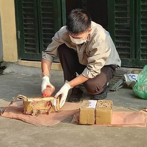 Ưu đãi khi sử dụng dịch vụ diệt mối tại Hà Nội của Anh Tuấn