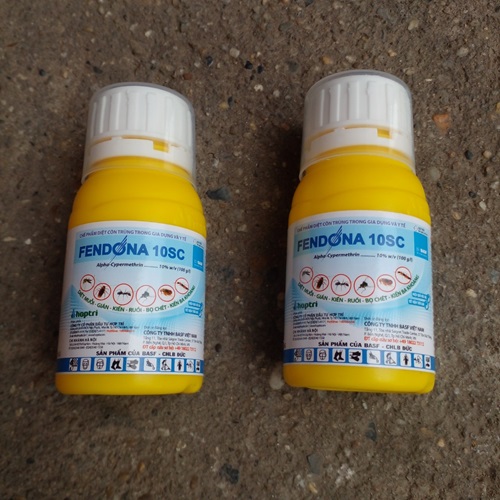 Thuốc diệt gián an toàn, hiệu quả