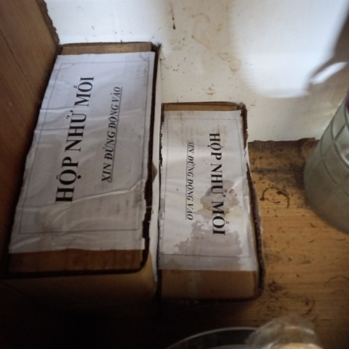 Đặt hộp nhử diệt mối lây nhiễm Đặt hộp nhử diệt mối lây nhiễm