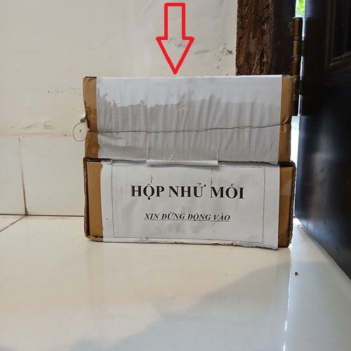 Dịch vụ diệt mối uy tín, giá rẻ tại huyện Sóc Sơn